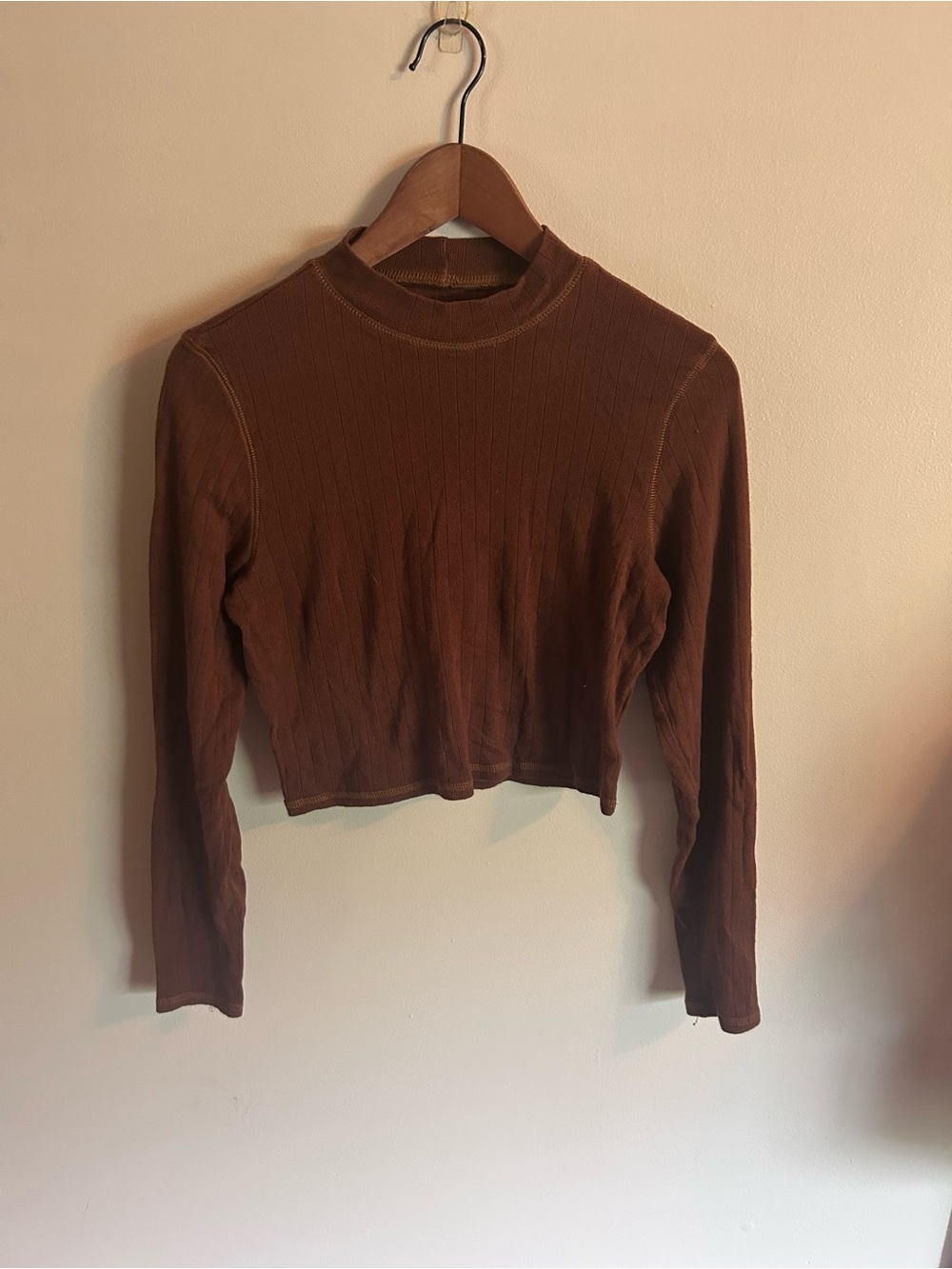 American Eagle | brown cropped long sleeve mock neck top